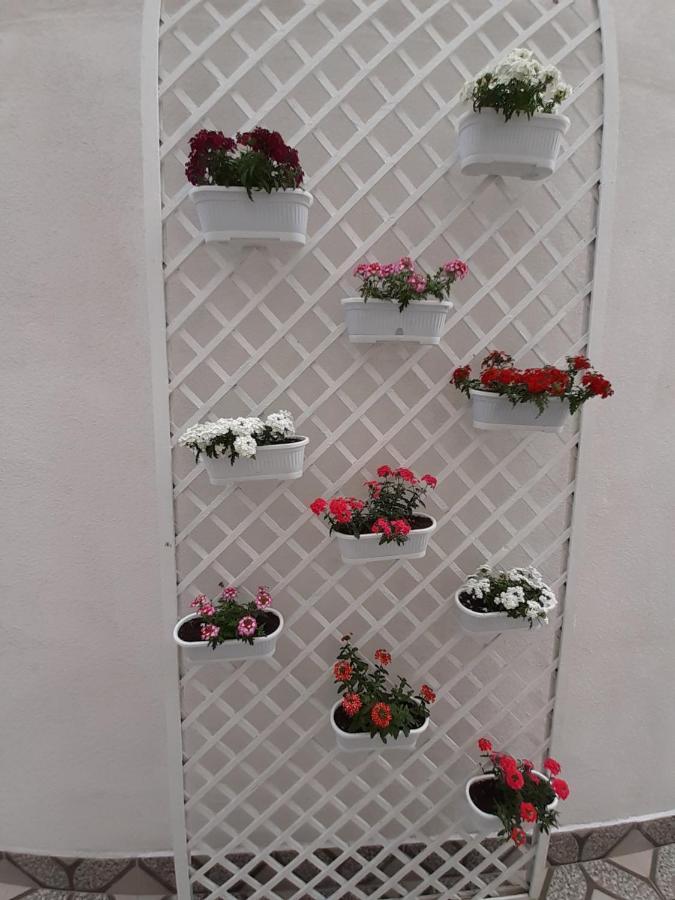 Ada Guest house Bucharest